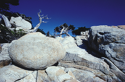 boulder on coast in Carmel, California