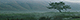 field